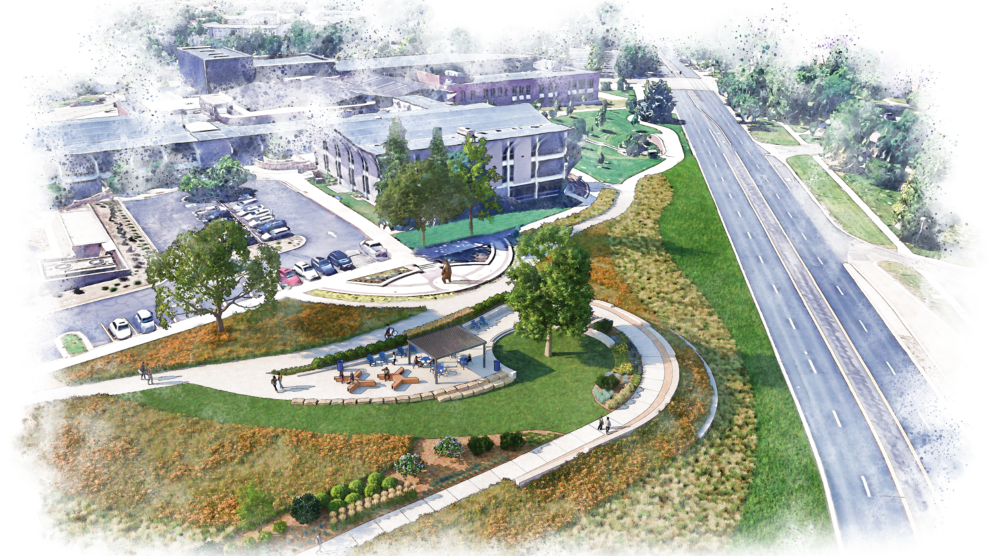 3-acre hillside of bluegrass turf in the heart of campus